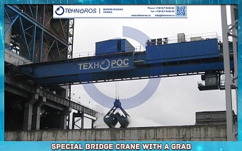 Special bridge crane with a grab