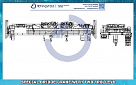 Special bridge crane with two trolleys